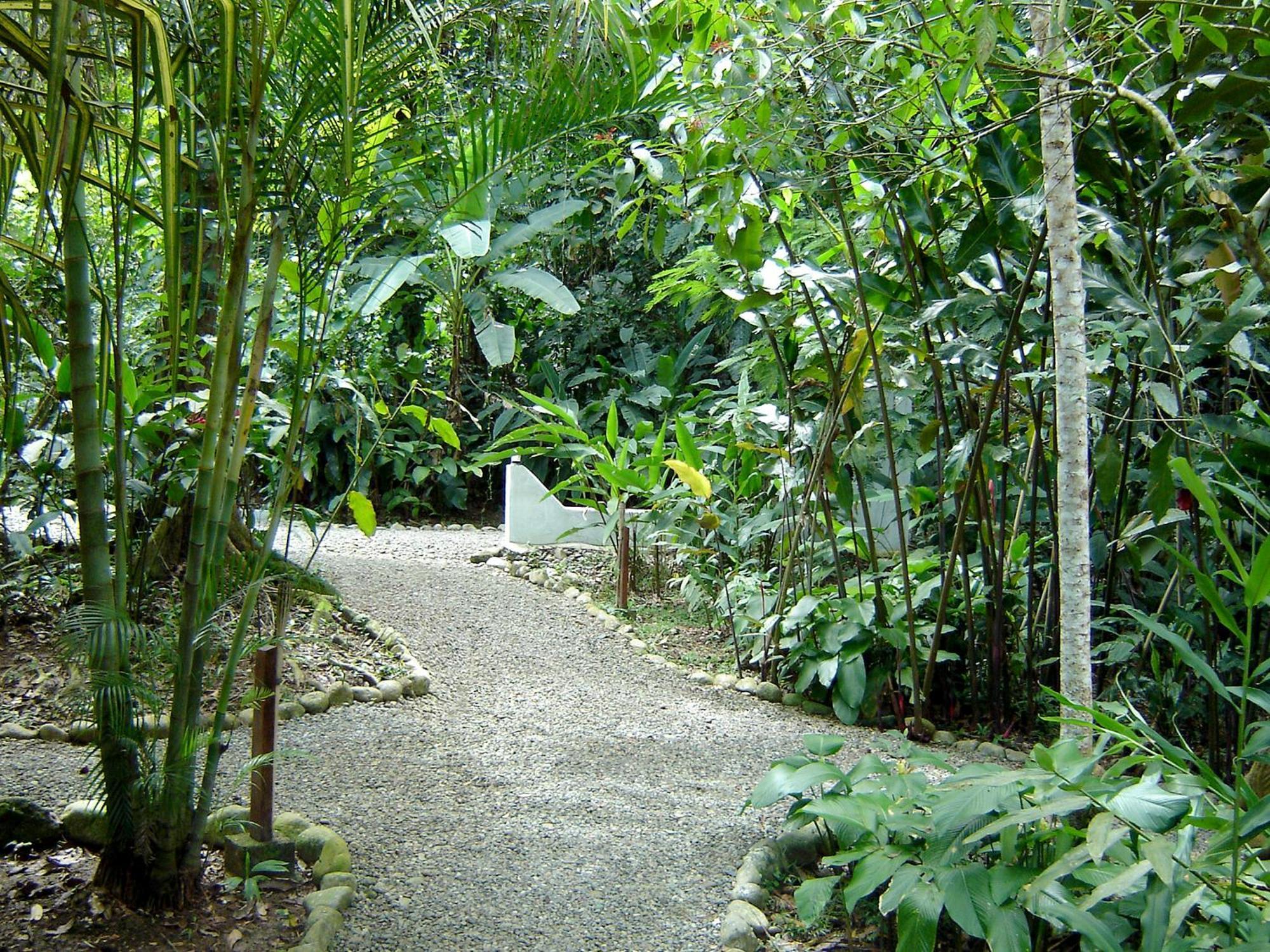 El Colibri Lodge Мансанильо Экстерьер фото