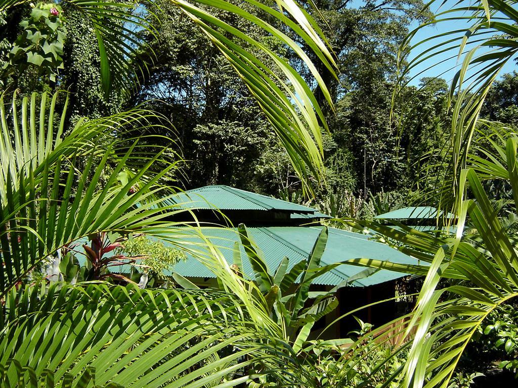 El Colibri Lodge Мансанильо Экстерьер фото