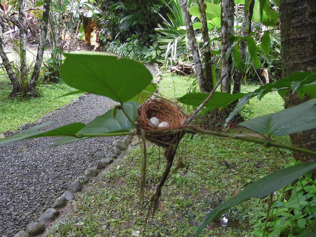 El Colibri Lodge Мансанильо Экстерьер фото